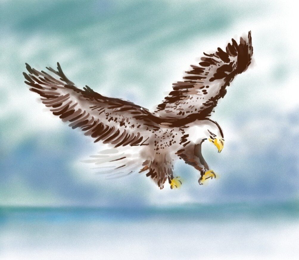 Random sketch - Eagles have always been one of my favourite animals. Noble, free-spirited, and above all the earthy possessions that don't really matter. 